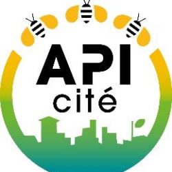 APIcité : un label en faveur de la préservation des abeilles et des pollinisateurs sauvages